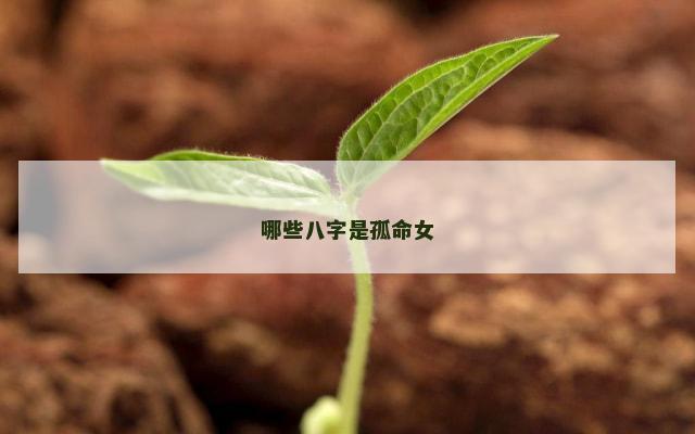 哪些八字是孤命女