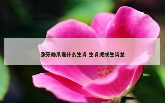 张牙舞爪是什么生肖 生肖虎或生肖龙