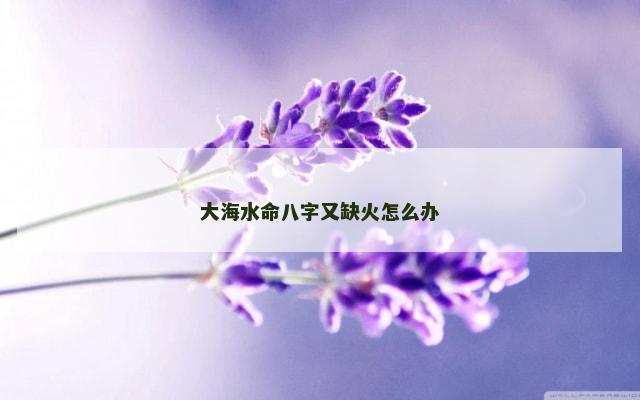 大海水命八字又缺火怎么办