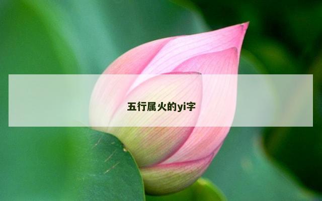 五行属火的yi字