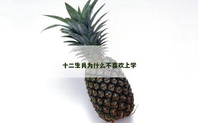 十二生肖为什么不喜欢上学