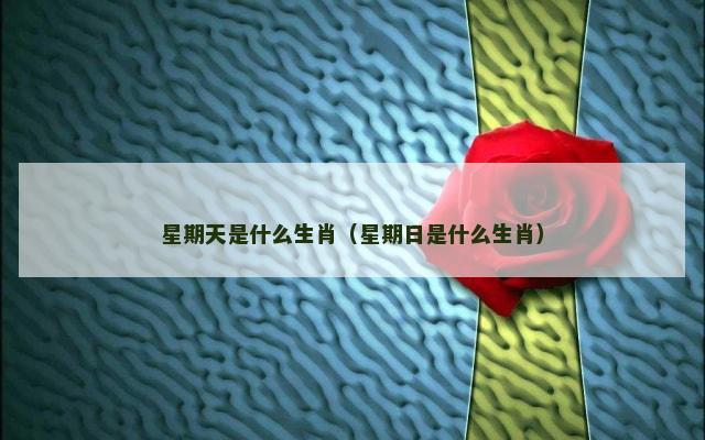 星期天是什么生肖（星期日是什么生肖）