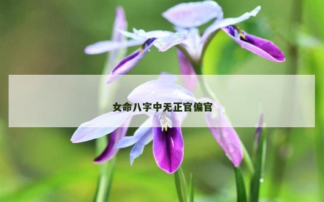 女命八字中无正官偏官