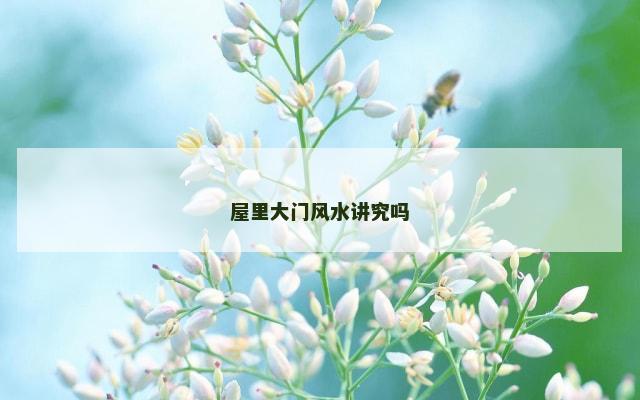 屋里大门风水讲究吗