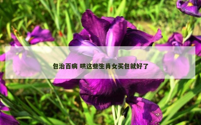 包治百病 哄这些生肖女买包就好了