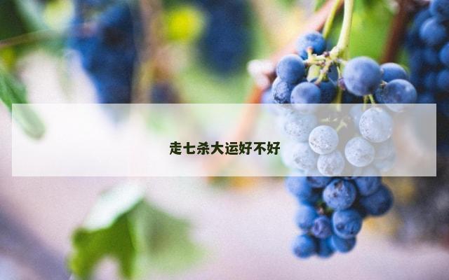 走七杀大运好不好