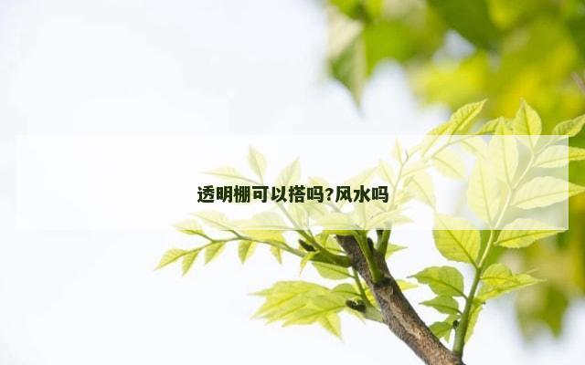 透明棚可以搭吗?风水吗