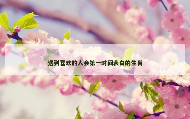 遇到喜欢的人会第一时间表白的生肖