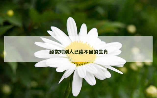 经常对别人已读不回的生肖