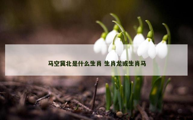 马空冀北是什么生肖 生肖龙或生肖马