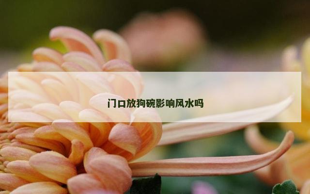 门口放狗碗影响风水吗