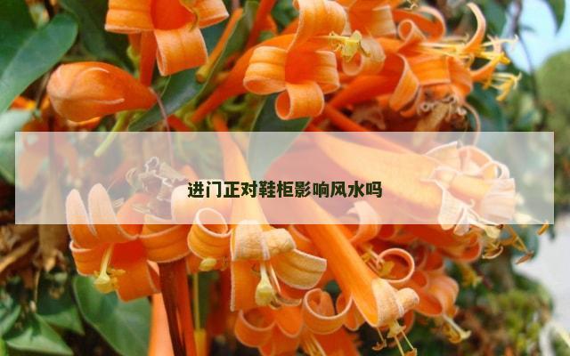进门正对鞋柜影响风水吗