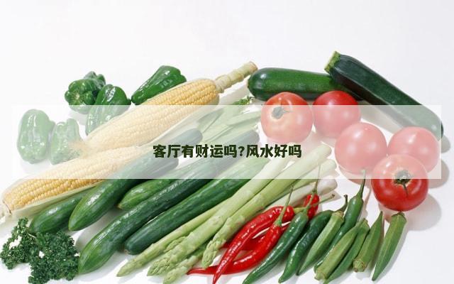 客厅有财运吗?风水好吗