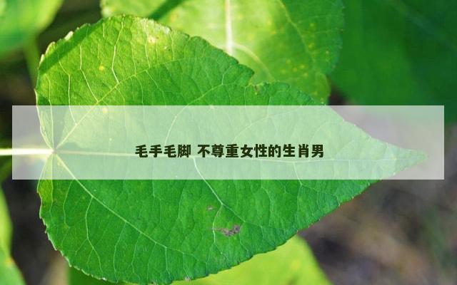 毛手毛脚 不尊重女性的生肖男