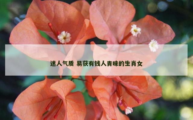 迷人气质 易获有钱人青睐的生肖女