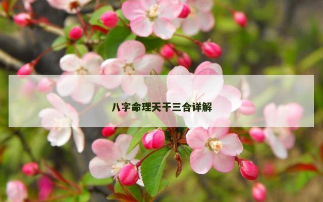 八字命理天干三合详解