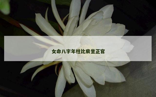女命八字年柱比肩坐正官