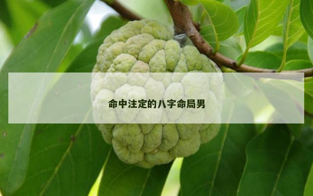 命中注定的八字命局男