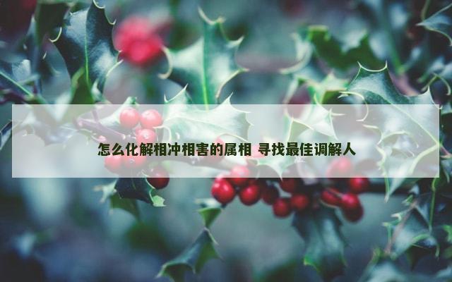 怎么化解相冲相害的属相 寻找最佳调解人