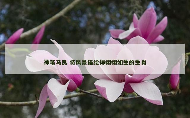 神笔马良 将风景描绘得栩栩如生的生肖