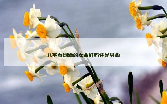 八字看姻缘的女命好吗还是男命