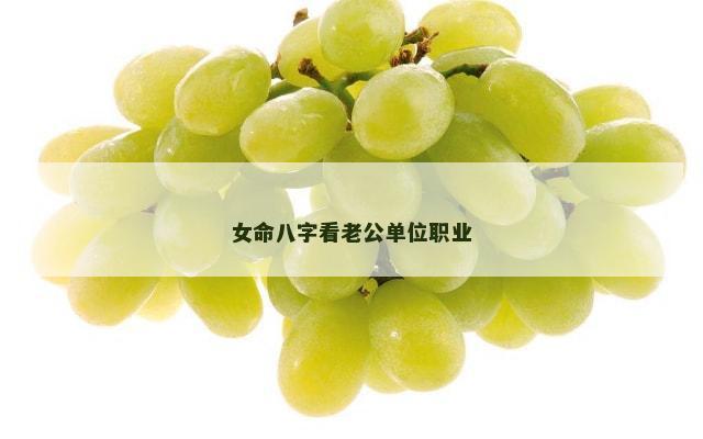 女命八字看老公单位职业