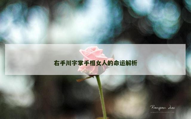 右手川字掌手相女人的命运解析