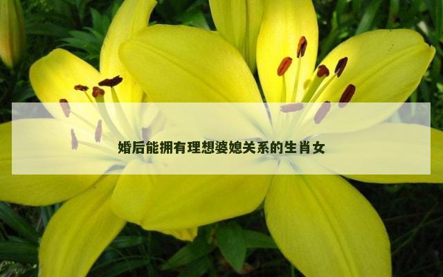 婚后能拥有理想婆媳关系的生肖女