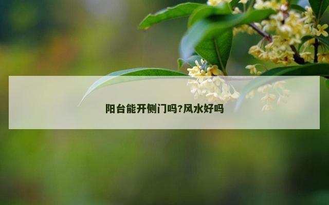 阳台能开侧门吗?风水好吗
