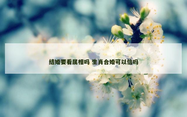 结婚要看属相吗 生肖合婚可以信吗