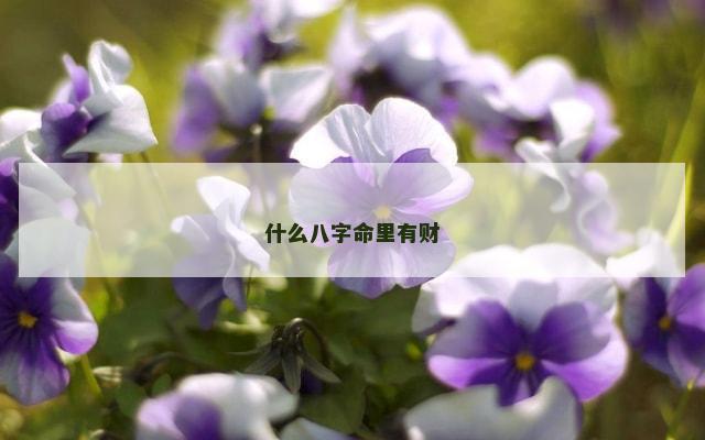 什么八字命里有财