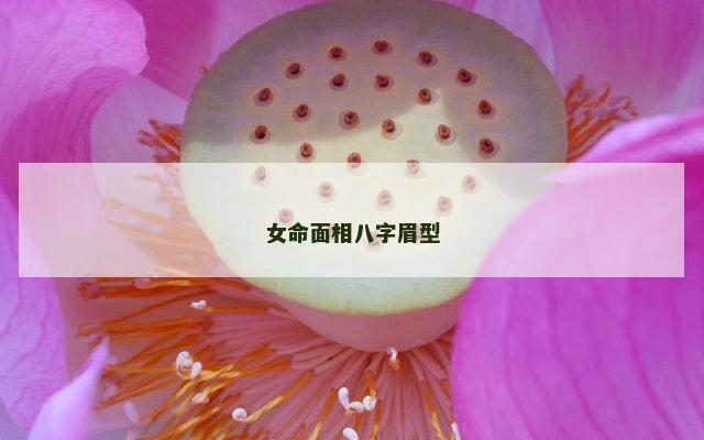 女命面相八字眉型
