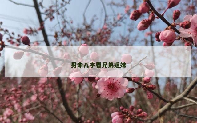 男命八字看兄弟姐妹