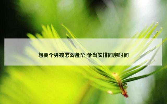 想要个男孩怎么备孕 恰当安排同房时间