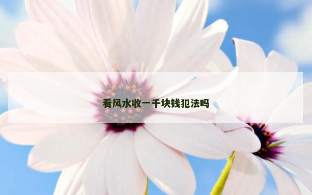 看风水收一千块钱犯法吗