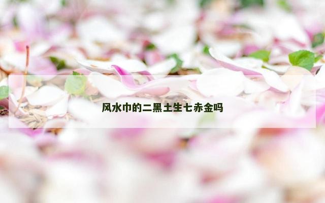 风水巾的二黑土生七赤金吗