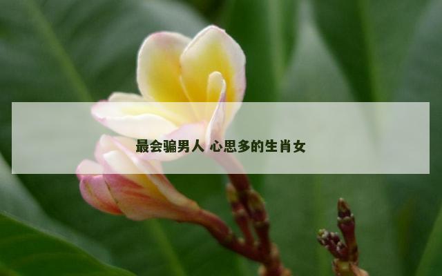 最会骗男人 心思多的生肖女