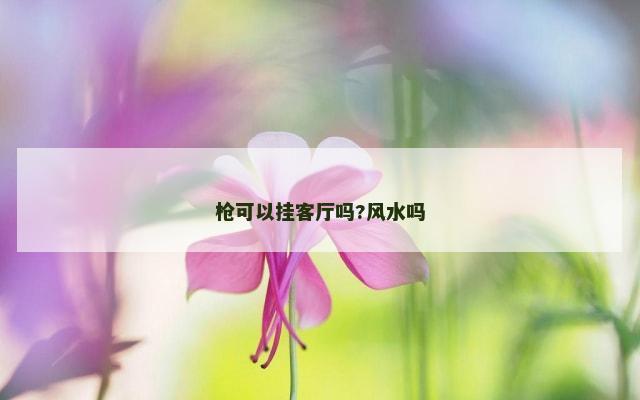 枪可以挂客厅吗?风水吗