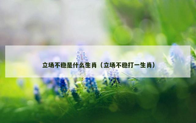 立场不稳是什么生肖（立场不稳打一生肖）
