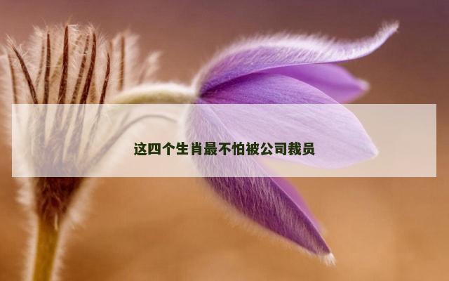 这四个生肖最不怕被公司裁员
