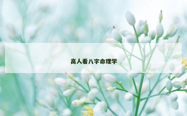 高人看八字命理学