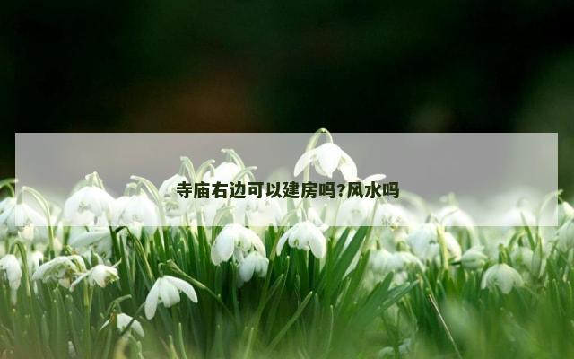 寺庙右边可以建房吗?风水吗