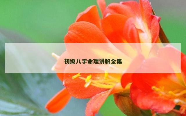 初级八字命理讲解全集