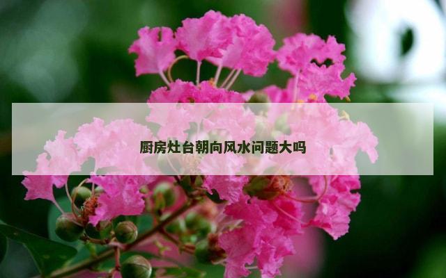 厨房灶台朝向风水问题大吗