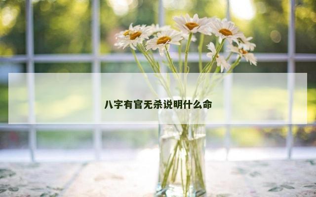 八字有官无杀说明什么命