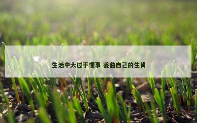 生活中太过于懂事 委曲自己的生肖