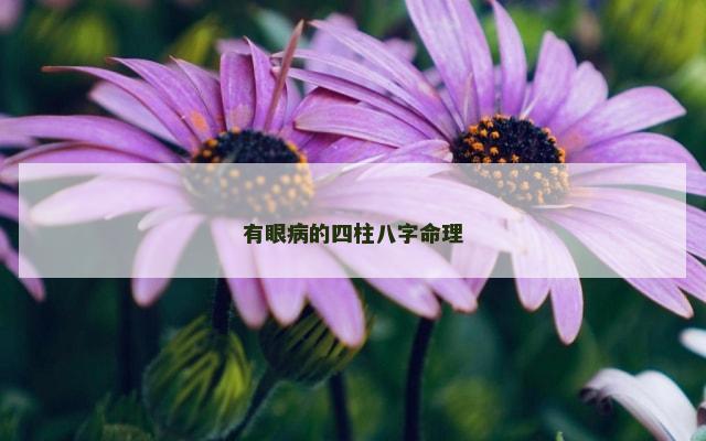 有眼病的四柱八字命理