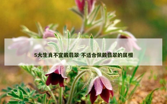 5大生肖不宜戴翡翠 不适合佩戴翡翠的属相
