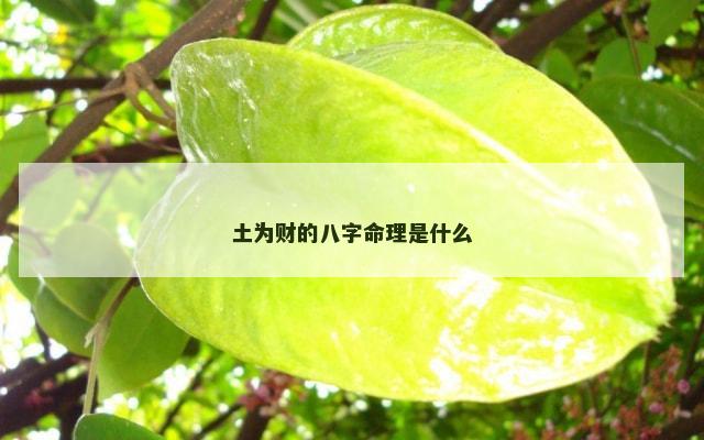 土为财的八字命理是什么