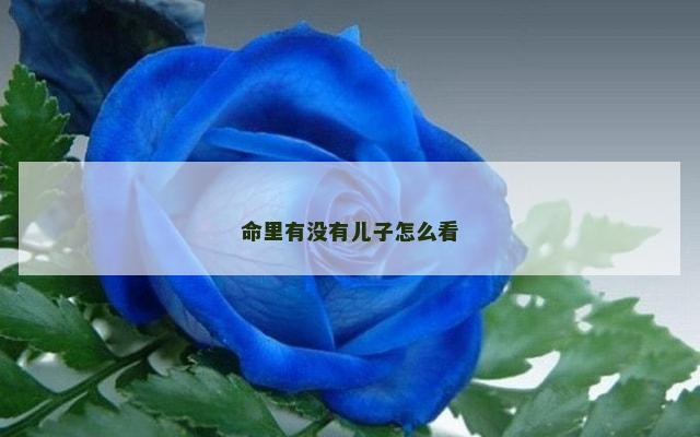 命里有没有儿子怎么看